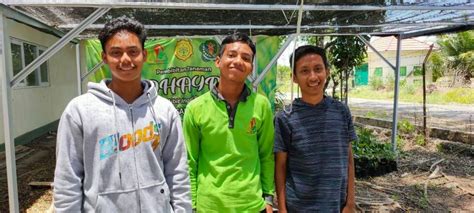 Contoh Proposal Usaha Sayur Hidroponik - Besar