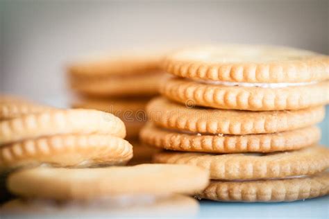 Vanilla Cookies With Cream Filling Stock Photo Image Of Confectionery