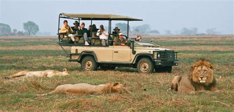 Two Weeks In Zambia A Holiday Itinerary Discover Africa Safaris
