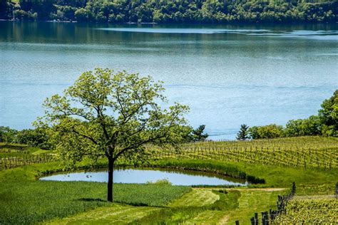 Vote Finger Lakes Best Wine Region Nominee 2019 10best Readers Choice Travel Awards