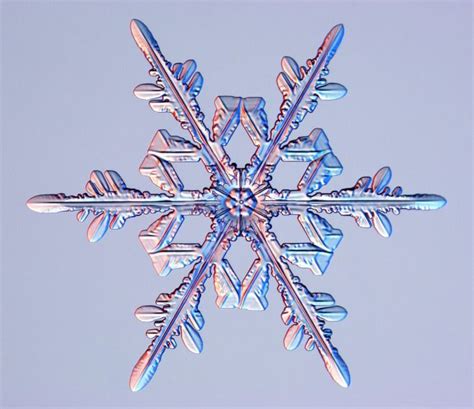 How Snowflakes Form New Video Explains Live Science