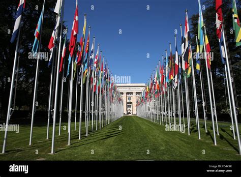The Flag Lined Approach To The Entrance To The United Nations