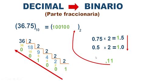 Convertir Numero Decimal A Binario Y Viceversa Metodo Manual Y Hot Sex Picture