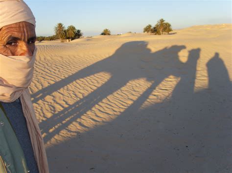 Free Images : landscape, sunset, desert, dune, shadow, dromedary