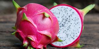 Information about dragon fruit pitaya including applications, recipes, nutritional value, taste dragon fruit grows on climbing cacti with stems that reach up to 6 meters long. Shisha Tabak mit Drachenfrucht » SmokeDex