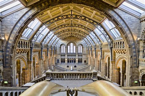 Natural History Museum: 'We hope people will discover new species with
