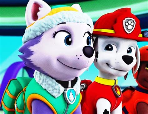 Marshall And Everest Paw Patrol Fan Art 40208629 Fanpop Page 4