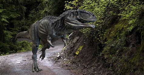 Facts On Allosaurus Size When They Lived And What Do They Eat