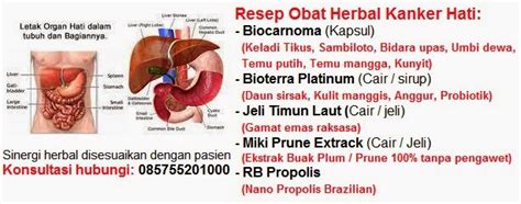 Obat Herbal Penyakit Kanker Hati 085755201000 Jual Obat Herbal