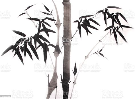 Bamboo Ink Painting Hand Drawn Stock Illustration Download Image Now