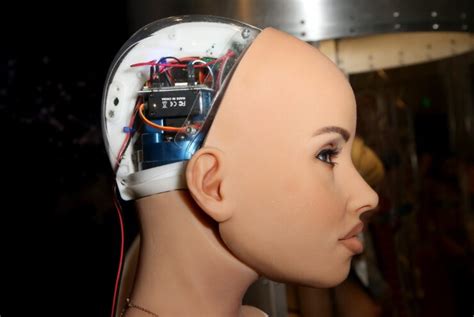 virtual companions the rise of ai powered sex robots