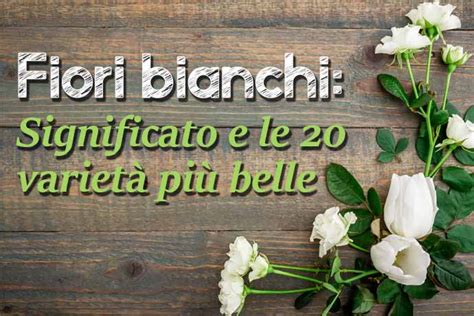 Fiori bianchi orto spontanee : Fiori bianchi: significato e le 20 varietà più belle - greenMe