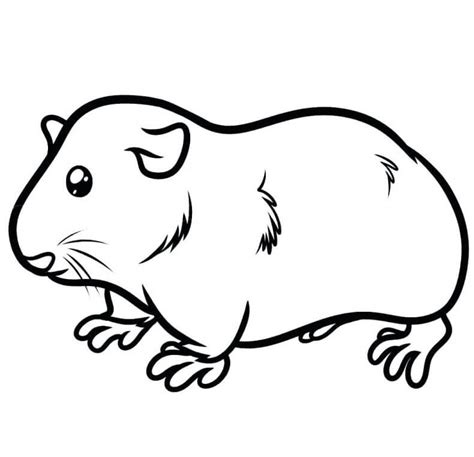 Funny Guinea Pig Coloring Page - Free Printable Coloring Pages for Kids