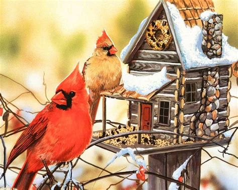 Cardinals Home Birds House Snow Birds Artwork Pair Winter Hd