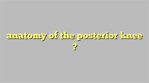 Anatomy Of The Posterior Knee C Ng L Ph P Lu T