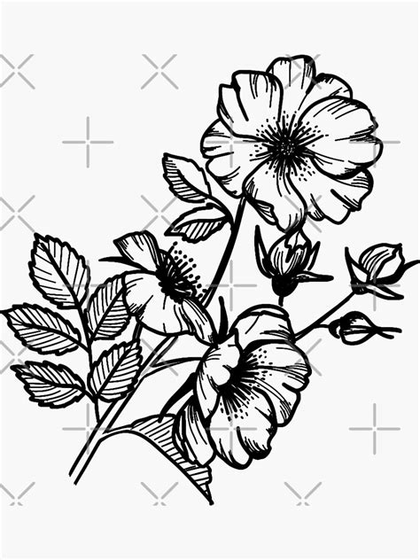 Engraved Desert Rose Sticker For Sale By Greenlundcntnt Redbubble