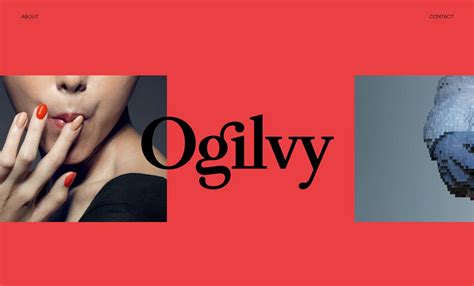Ogilvy Modern Web Design Ogilvy Editorial Layout