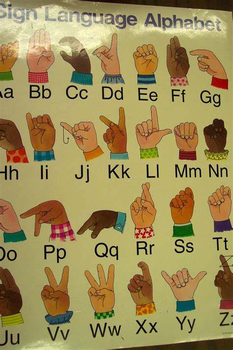 Kinderdi Sign Language Sight Words