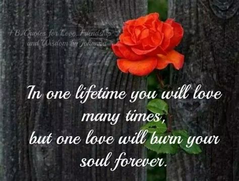 You Are My One True Love True Love Quotes Daily Quotes First Love