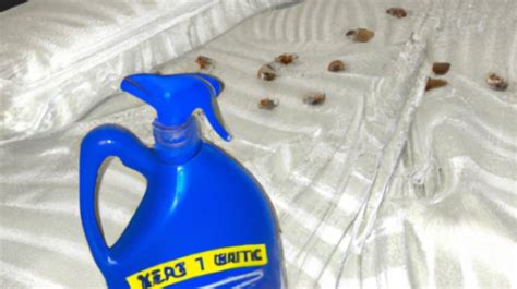 How Can I Kill Bed Bugs With Bleach The Bed Bug Slayer