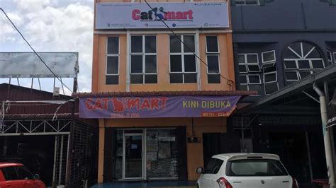 Jika kucing dewasa atau anak kucing cirit birit, anda boleh gunakan petua ayam rebus dan labu untuk kucing sebagai cara untuk merawat sebelum dihantar ke. Ubat Cirit Birit Kucing Di Farmasi - Palestina 0