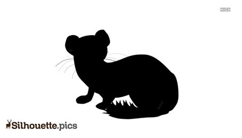 Weasel Silhouette Images
