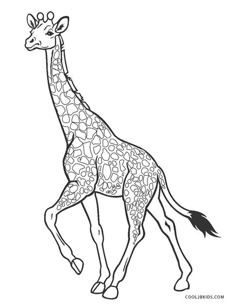 Desenhos De Girafa Para Colorir Páginas Para Impressão Grátis