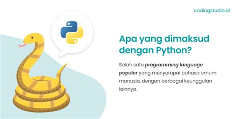 Apa Itu Python Pengertian Fungsi Dan Contohnya