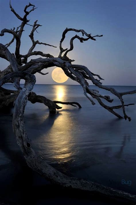 amazing photography  full moon xcitefunnet