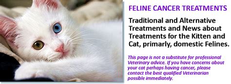 This type of tumor is caused by a problem elsewhere in your cat's body that spread to the brain. Treatments for Feline Cancer: Spindle cell tumors can grow ...