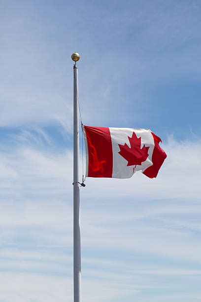 Responsibility dean, director, head or any other employee as appropriate in the circumstances action 1. Canadian Flag At Half Mast Stock Photos, Pictures ...