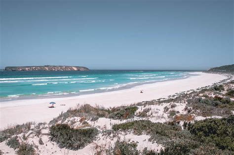 update 80 about best beaches south australia hot nec