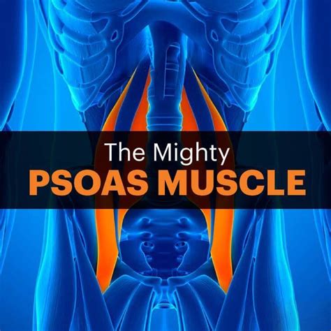 A Weak Psoas Muscle Could Be The Basis For Back Pain El Paso Tx