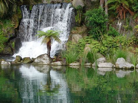 Rainbow Springs Nature Park Rotorua 2021 All You Need To Know
