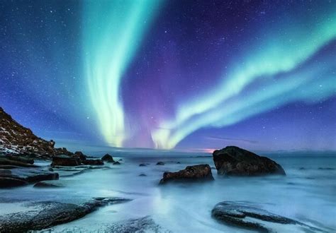 Aurora Borealis Sur Les îles Lofoten Norvège Lumières Nordiques Vertes