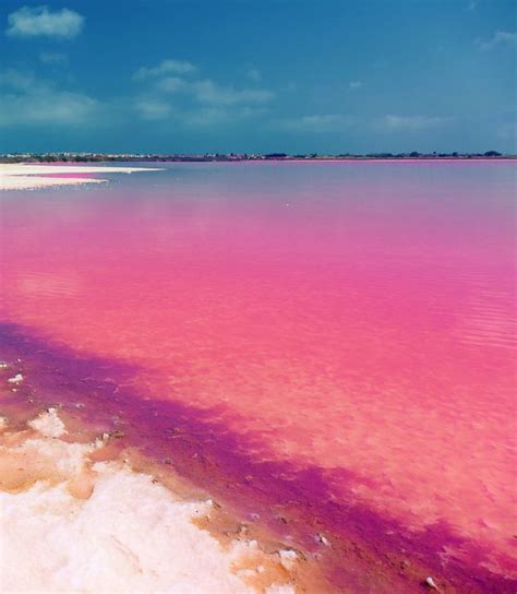 Laguna Salada De Torrevieja Spain Places To Travel Places To Visit