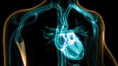 Scientists Use Light To Power Pacemaker — Nano Magazine Latest