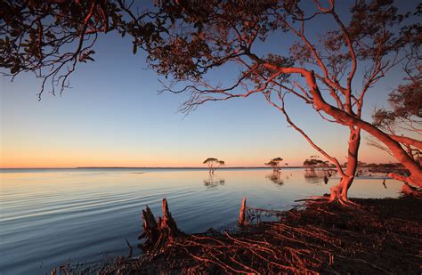 Mangroves At Dawn Naturetrek Wildlife Holidays Flickr