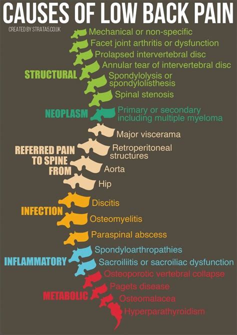 Causes Of Low Back Pain 01 Back Pain Low Back Pain Physical Therapy