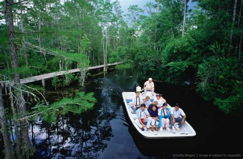 Okefenokee Swamp Park Georgia Tourist Boat Road Through Swamp Its