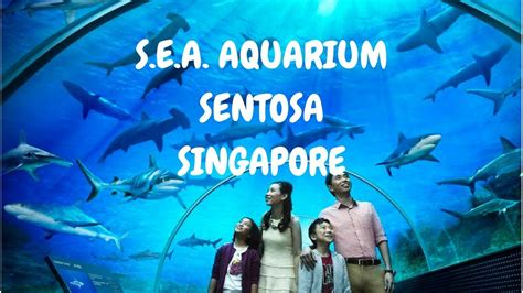 Sentosa Sea Aquarium Singapore Marine Life Park Worlds Largest