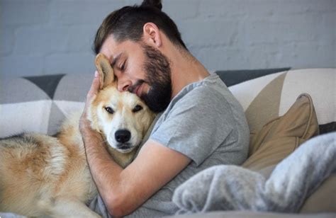 Should You Hug Your Dog