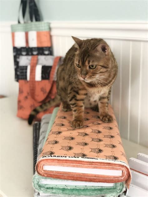 Scaredy Cat Tote Bag