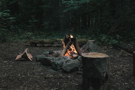 Bonfire In Forest Photo Free Log Image On Unsplash