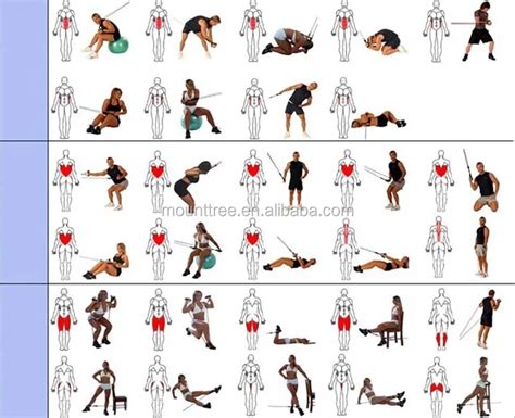 Chest Expander Workout Routine Pdf Eoua Blog