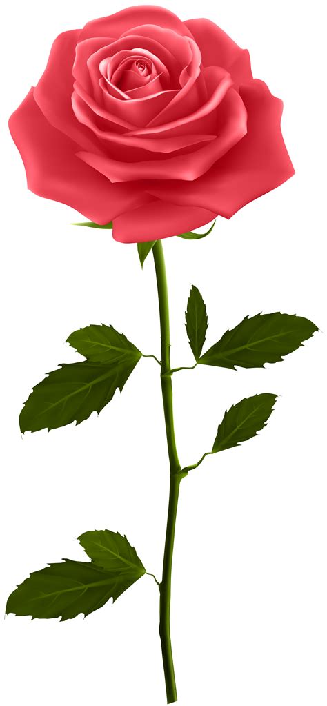 Red Rose With Stem Png Clip Art Gallery Yopriceville High Quality