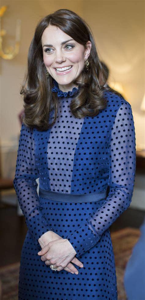 Kate Middleton Stuns In A Blue Sheer Dress Ahead Of India Trip — See