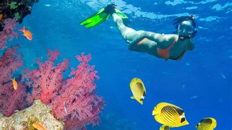 Snorkeling Wallpapers Top Free Snorkeling Backgrounds Wallpaperaccess