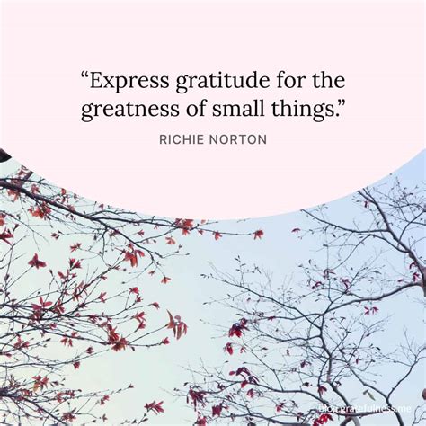 110 Thankful Thursday Quotes For The Blessing Of Gratitude