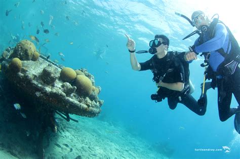 Tugboat Curaçao November Dive Site Of The Month Curaçao Chronicle